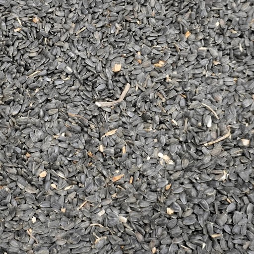 5 kg Nelúpané čierne slnečnicové semienko na zimu, kŕmidlo pre vtáky Champi