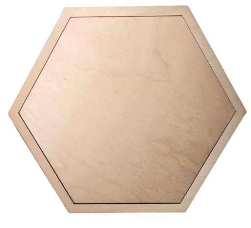 Šesťhranný mach, základ, nástenný obraz 25cm/3mm