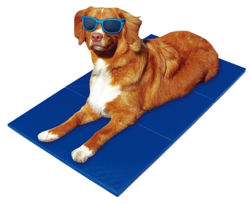 CHLADIACA PODLOŽKA MALÁ PRE PSA A MAČKU POĽSKO 50x40 cm