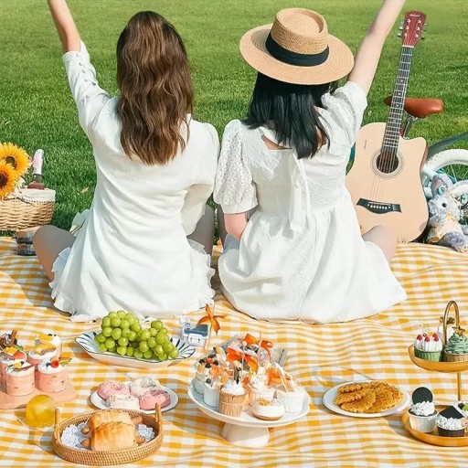 PLÁŽOVÁ PIKNIKOVÁ DEKA VODEODOLNÁ DEKA VEĽKÁ S PRENOSNÝM POUZDROM 200x200cm