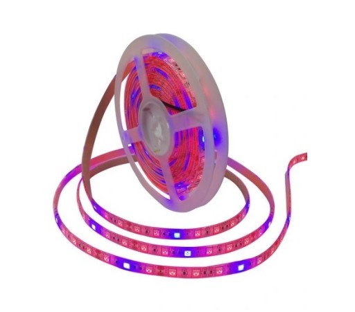led pás 5050 ip20 1m pestovanie rastlín PESTOVANIE