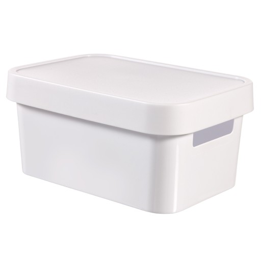 CURVER INFINITY KONTAJNER S KRABIČKOU 4,5L