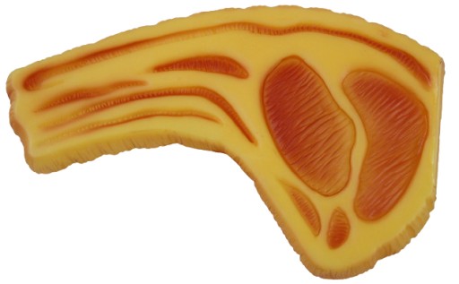STEAKOVÁ GUMOVÁ HRAČKA PRE PSA NA ÚSTUP