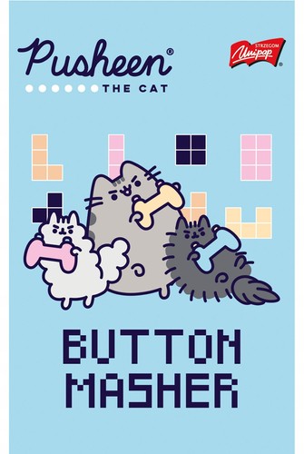 PUSHEEN NOTEBOOK NOTEBOOK ŠKOLSKÝ ZÁPISNÍK A6/50K LAMINOVANÝ MAJEWSKI KOTEK