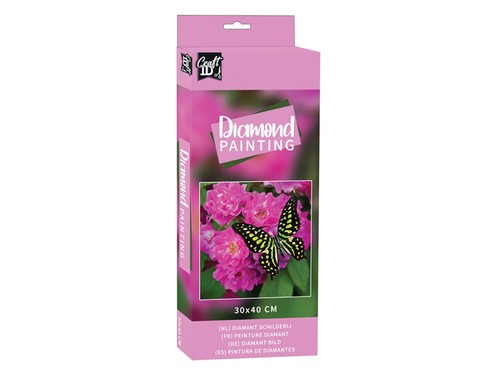 BOTTERFLY FLOWER JAR OBRÁZOK DIAMANTY GRAFIX