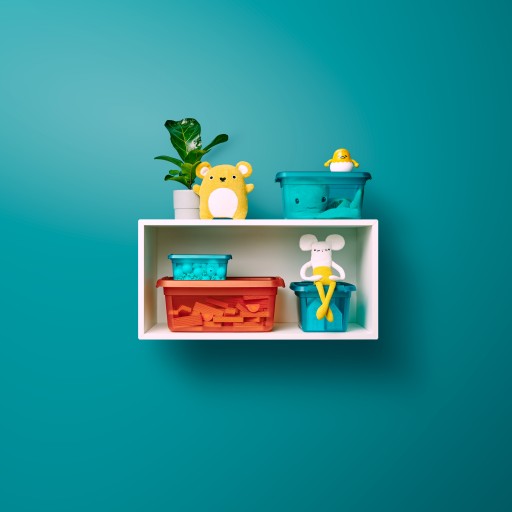Úložný kontajner Box s krytom, hračky a drobnosti BaseStore 4,5l