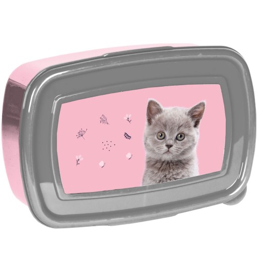 OBEDOVÝ BOX RAŇAJKOVÝ KONTAJNER PRE DIEVČATKO CAT MAČIATKU