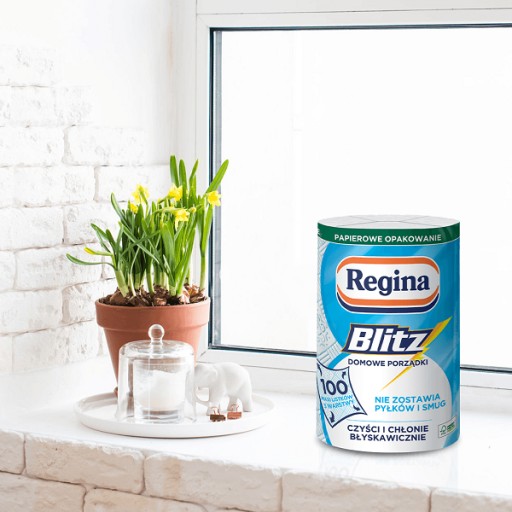 Univerzálna papierová utierka REGINA BLITZ - 100 listov, 3 vrstvy celulózy