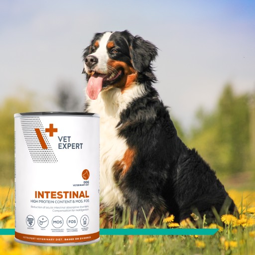 Vet Expert Intestinal vlhké krmivo pre psov s tráviacimi problémami 400g