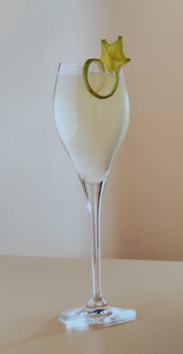FRUTTAMAX SIRUP TÓNICKÝ KONCENTRÁT DO SATURÁTORA 12L