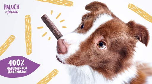 Psia pochúťka Jelení palica 7x John Dog