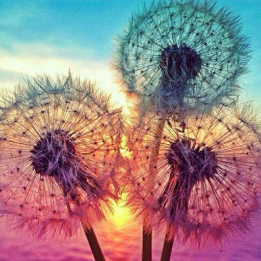 Diamantová výšivka Diamantová mozaiková súprava 5D
