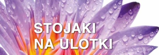 Informačný stojan/stojan na menu A5 - obojstranný
