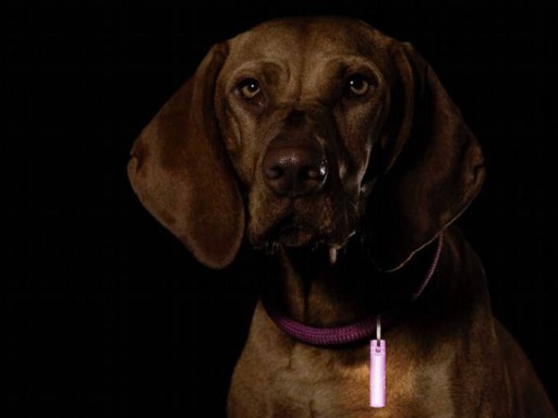 Ni-Glo Keychain Marker Gear Marker Panther Pink