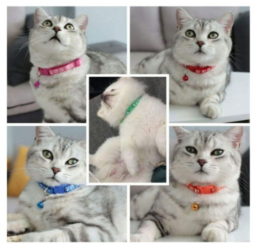 Obojok pre psov a mačky so zvončekom, nastaviteľný 33P