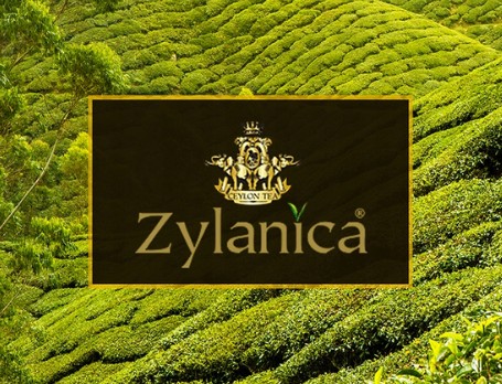 ZYLANICA BATIK DELIKÁTNA KONZERVKA NA ČIERNY ČAJ 100G
