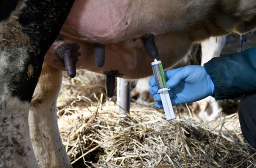 DUOMAST C PREVENTÍVNY PROSTRIEDOK NA MASTITIDU 23 ML