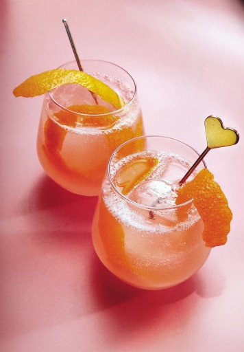 SIRUPOVÝ KONCENTRÁT FRUTTAMAX MANGO LIGHT SODASTREAM
