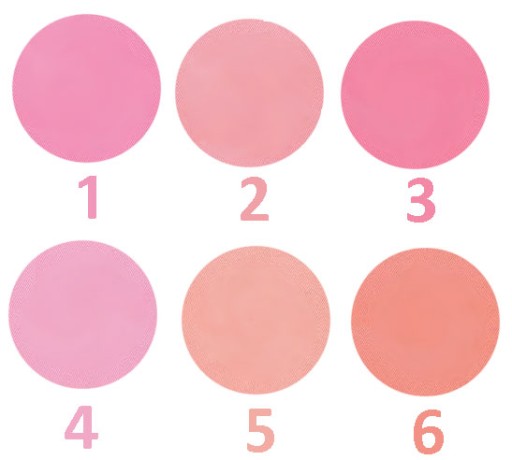 Svetlá lícenka Sevich Pure Color Blusher