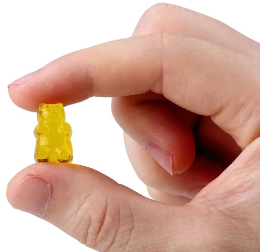 SILIKÓNOVÁ FORMA NA MEDVEDY MEDVEĎA ĽADOVÉ KOCKY PRRALINES ČOKOLÁDY