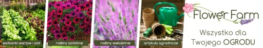Nože čalúnnický nôž 2 kusy 15cm GardenLine