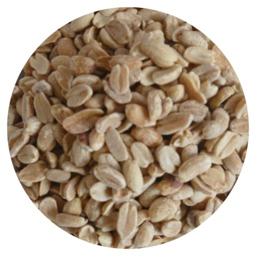 Arašidy pražené bez soli 0,5 kg