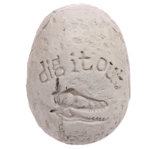 ARCHEOLOGICKÁ SADA - VAJÍČKO NA VÝKRAPACI dinosaura