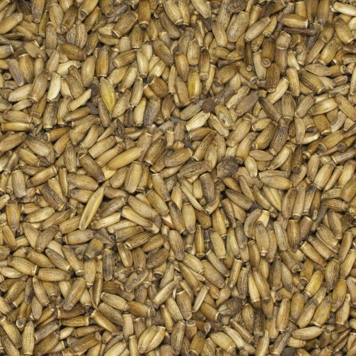 Osemená ostropestreca mariánskeho 1kg ČERSTVÝ ÚROV