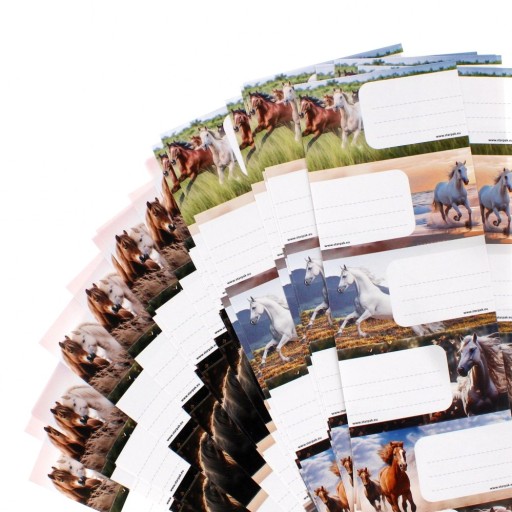 Nálepky nálepky na zošity STARPAK kone kone HORSES mix 6 kusov (536023)