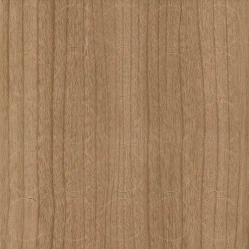 Samolepiaca čiapočka F14/352 Orech Select light -25 ks.