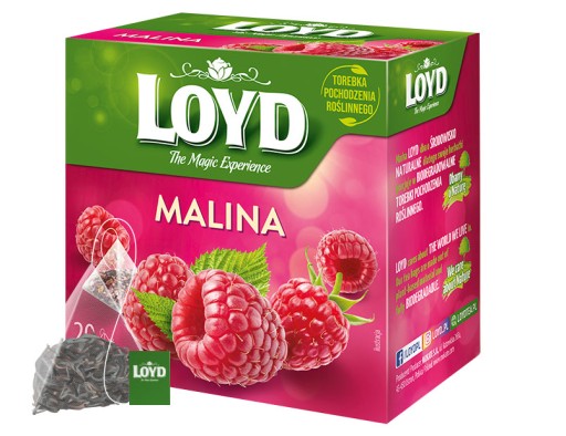 Expres ovocný čaj Divoká ruža Malina s kúskami ovocia 20T LOYD