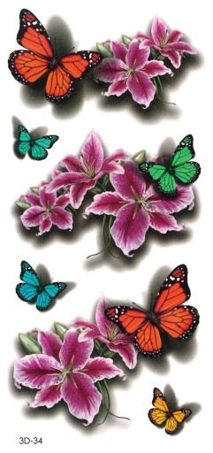 Umývateľné tetovanie pre deti BUTTERFLIES 3D34