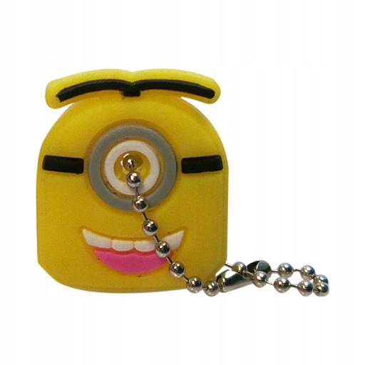 KRYT POUZDRA KRYT KĽÚČOV - MINIONS A