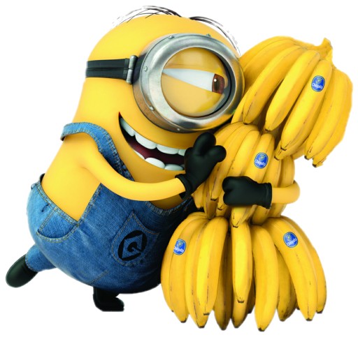 NÁLEPKA NA OKENNÉ SKLO ZRKADLO MINIONS MINIONS