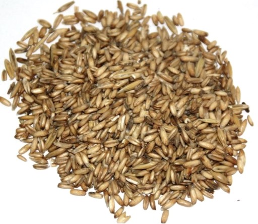 Ovos bez plevy, ovos nahý kŕmny 1 kg