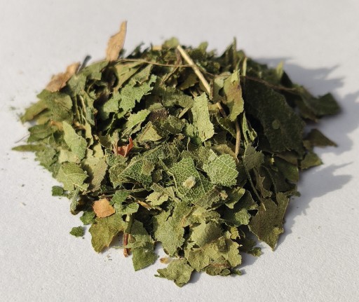 Brezový list brezy - Byliny - 200g - Dary Podlasie