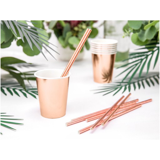 Papierové slamky 19,5 cm 10 ks Rose Gold 019R