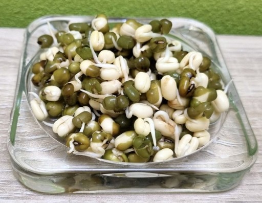 MUNG BEANS zlatá fazuľka, semienka na klíčky 40g