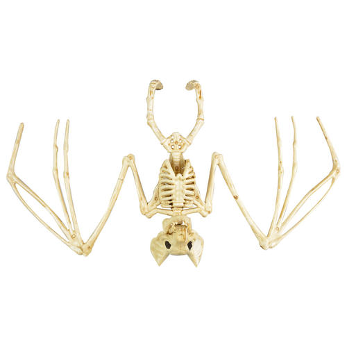 Halloweenska dekorácia Kostra netopiera