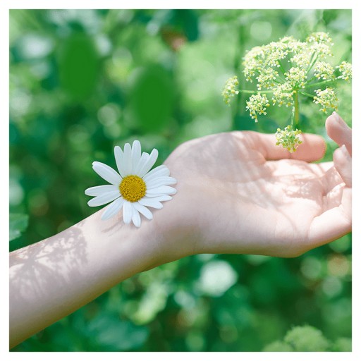 Naturella Classic Maxi Camomile hygienické vložky 16 kusov