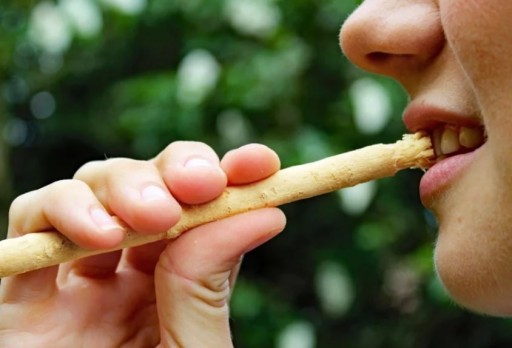Miswak: tyčinka na zuby a ďasná, prírodná zubná kefka, Unicorn