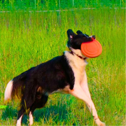 FRISBEE FRIZBI vrhací DISK PRE DETI NA HRANIE