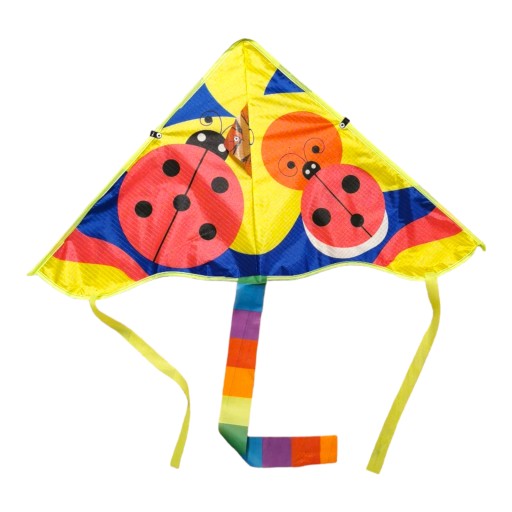 FAREBNÝ KITE rôzne vzory s líniou 80 CM