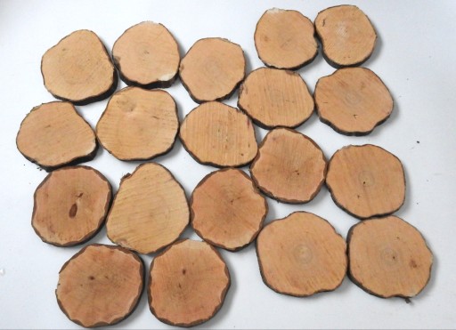 PLÁSOK DREVA PEČIATKY DROB 15-20 CM, 1 KS