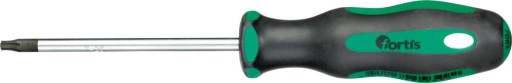 FORTIS Skrutkovač na skrutky s TORX násadou T25 x 100mm