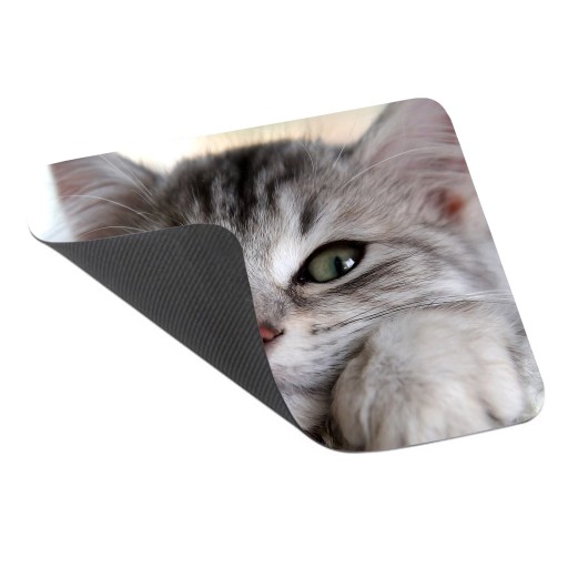 Podložka pod myš s mačkou, MAČIČKAMI, mačiatkami
