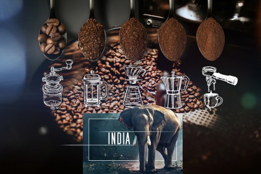 Čerstvo pražené kávové zrná 100% Arabica India 50G pre kávovar na espresso
