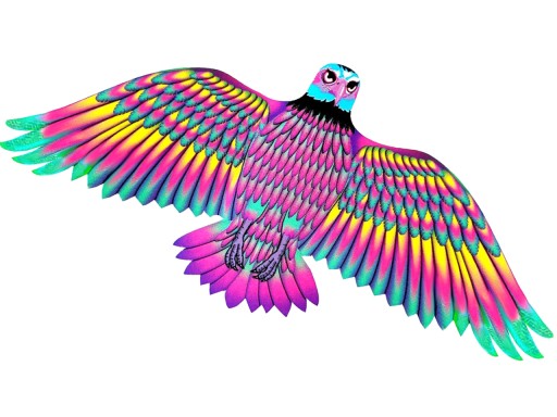 KITE