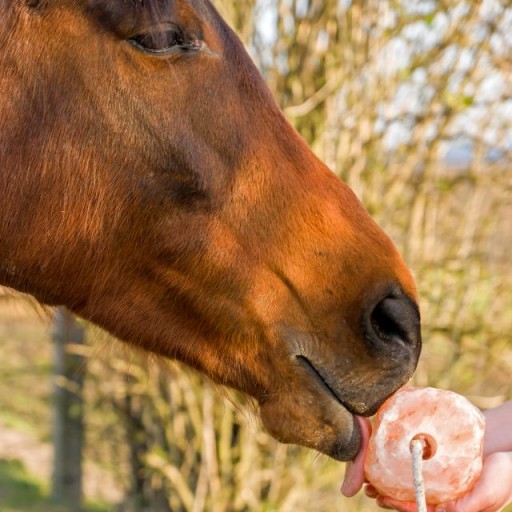 Himalájska soľ soľný liz pre kone hovädzí dobytok SALT CRYSTALS