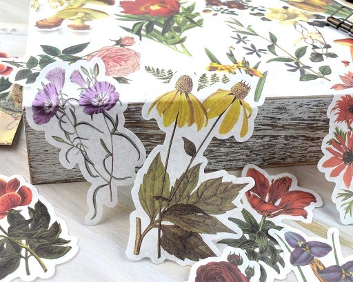 Nálepky na scrapbooking pre deti Rastliny Kvety